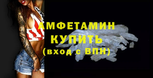 соль ск Новозыбков